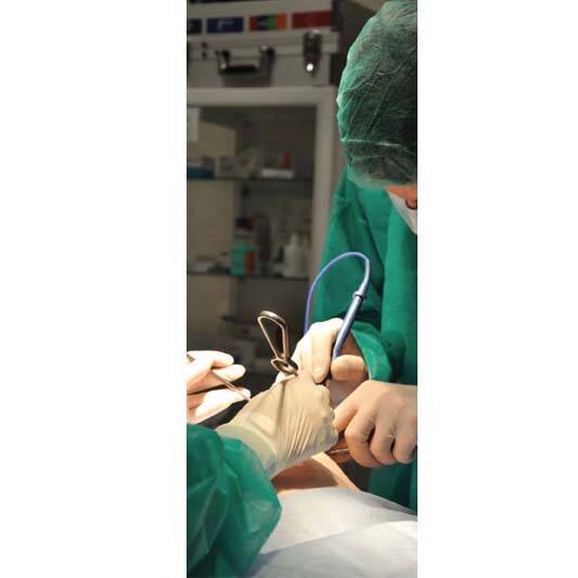 Surgical_Gloves-img2 כפפת בדיקה סטרילית