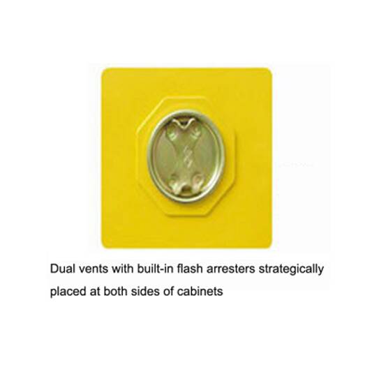 ארון בטיחות לכימיקלים - ארון בטיחות צהוב – תמונה 5