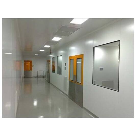 Cleanroom_2wing_door-main דלת דו כנפי לחדר נקי